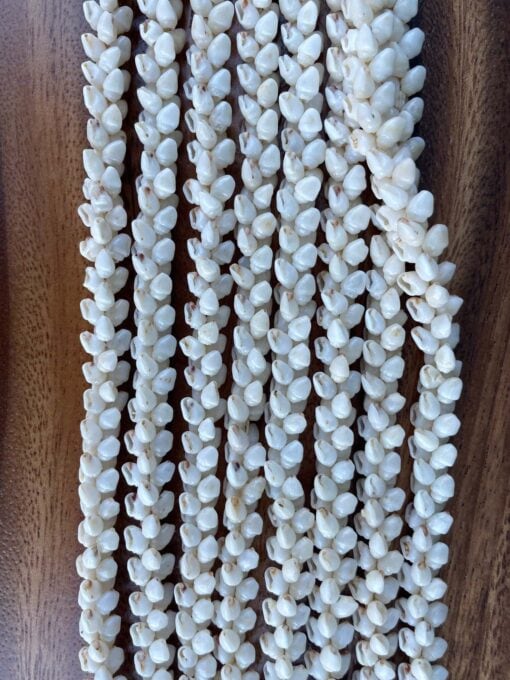 Ni'ihau Collectors' Lei, 40 inch 4 Strand White Momi, Vintage