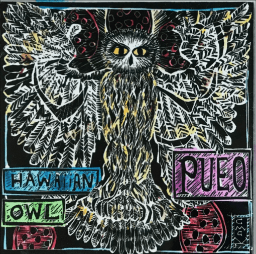 "Hawaiian Owl / Pueo" by Caroline Killhour - CMK0022