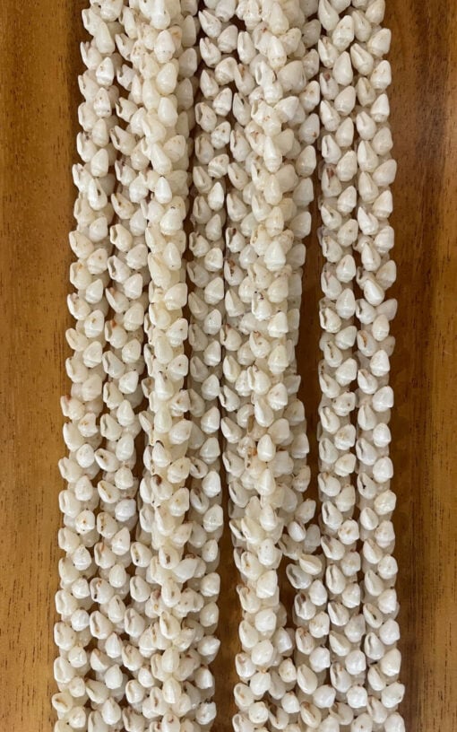 Ni'ihau Collectors' Lei, 38-Inch 5-Strand Pikake Momi Keokeo - PANC1057