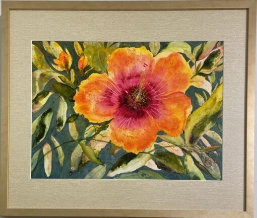 "Sherbet Hibiscus" by Vicky Robinson - VAR122