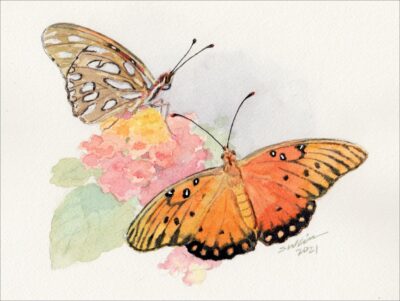 "Gulf Fritillary Butterflies" by Shaowei Liu - SHL008