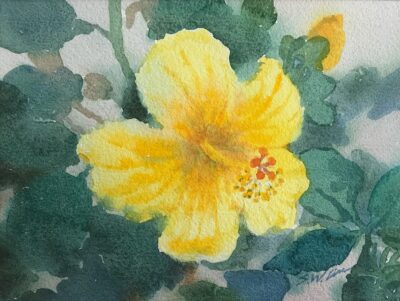 "Yellow Hibiscus Flower" by Shaowei Liu - SHL005