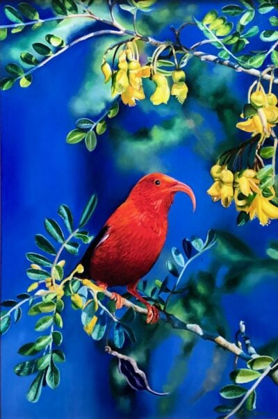 "'I'iwi A Me Mamane" by Carmen Gardner