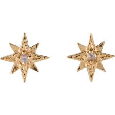 Star of Hokule'a Earrings with Moonstone 18K Gold Vermeil - Amata Jewelry