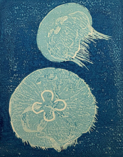 "Moon Jellies" by Jackie Johnston