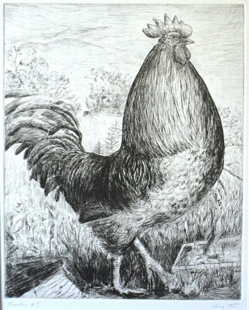 "Rooster" by Belinda Ling