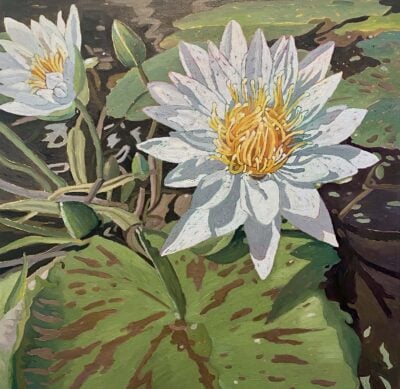 "Waterlily Wonder" by Cecilia Chenault