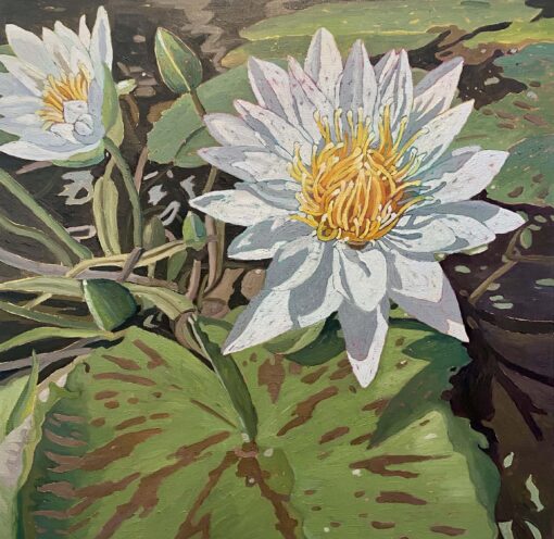 "Waterlily Wonder" by Cecilia Chenault