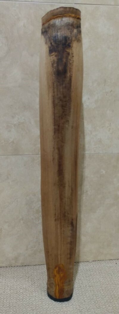 Palm Sheath with Handmade Paper by Dee Chapon