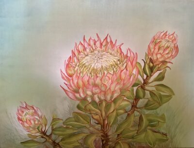 Protea by Christine Halton