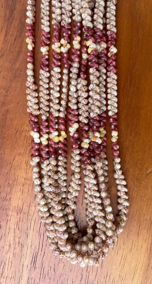 Ni‘ihau Lei, 19-Inch 5-Strand Kahelelani Kui Pololei Patch Patch