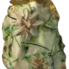 Tall Ceramic Water Lily Vase by Arabella Ark
