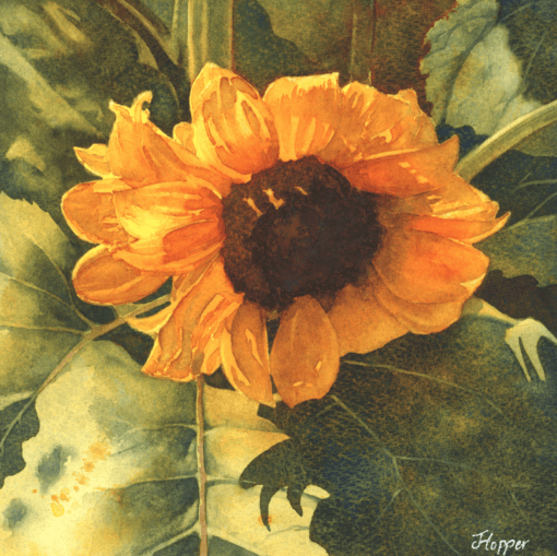 "Sunflower" by Joanne Hopper