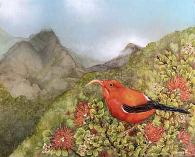 "ʻIʻiwi" by Christine Halton