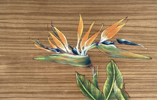 "Bird of Paradise" by Christine Halton